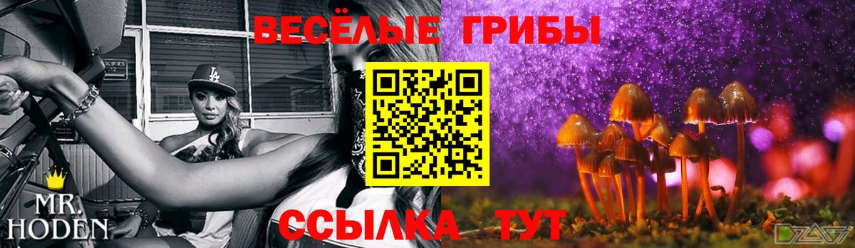 Галлюциногенные грибы GOLDEN TEACHER Карпинск