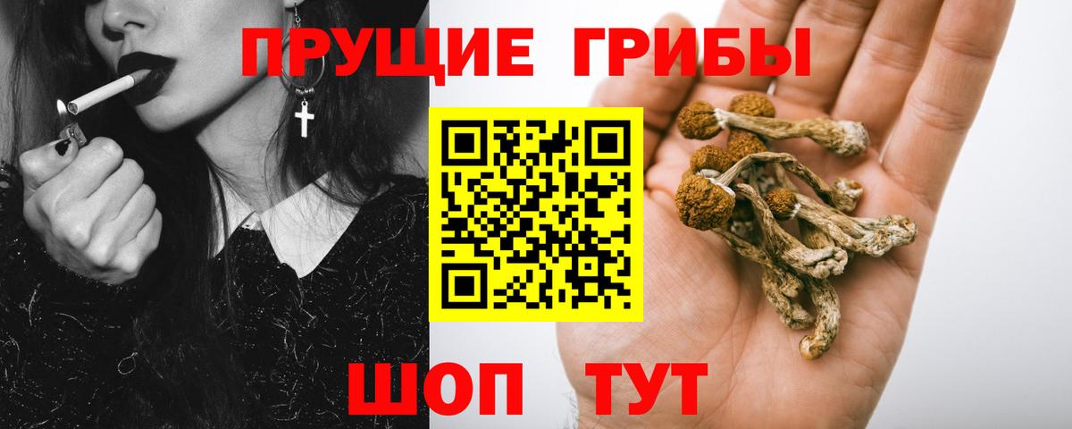 Карпинск  Псилоцибиновые грибы прущие грибы  Псилоцибиновые грибы мицелий  Вход с VPN 